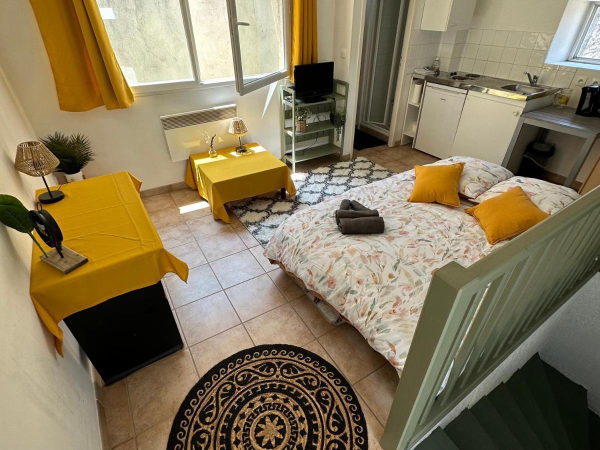 Apartment Face Au Canal Du Midi Carcassonne