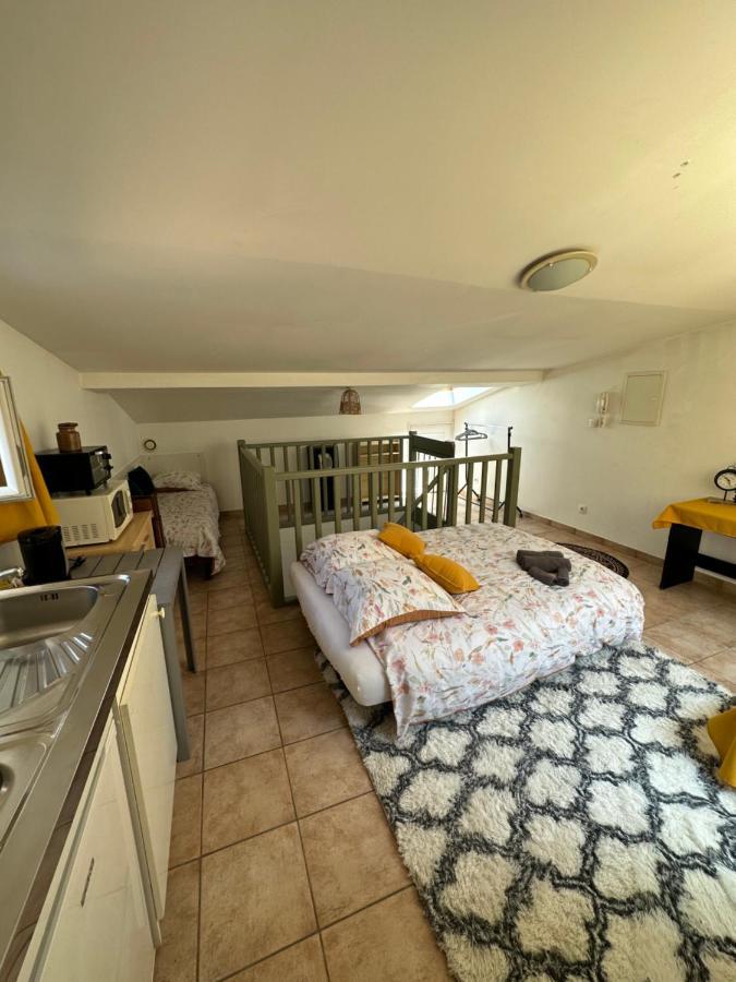 Apartamento Face Au Canal Du Midi Carcasona